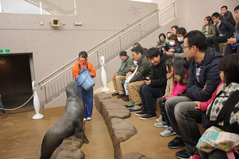 通年☆生き物たちのエサのじかん