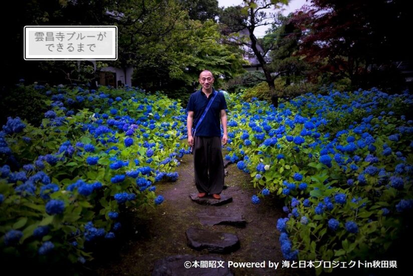 【男鹿あじさい寺特集】雲昌寺ブルーができるまで