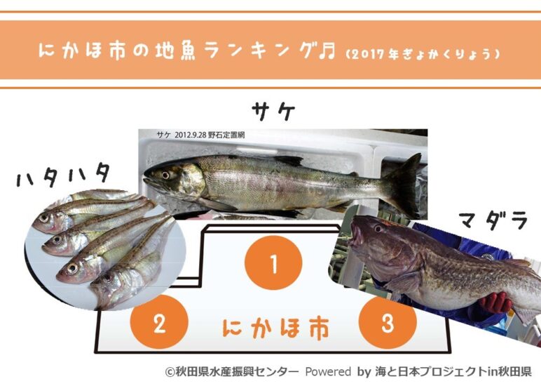 地魚ランキング@にかほ市