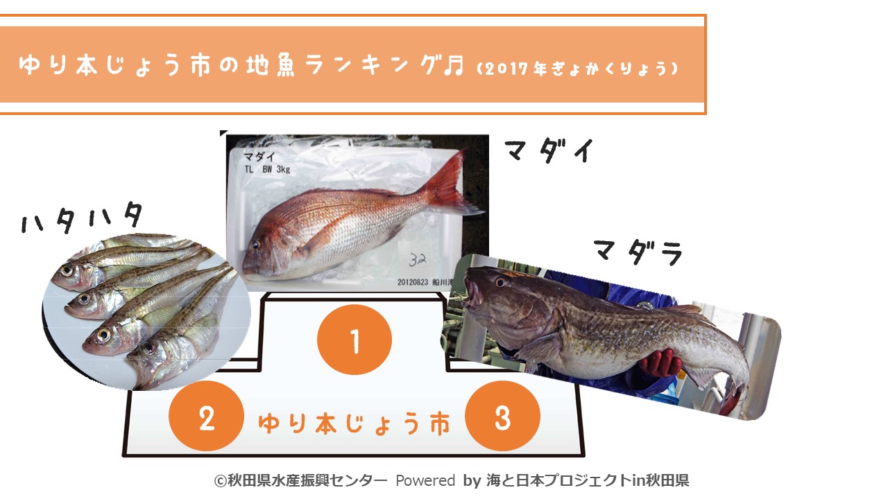 地魚ランキング 由利本荘市 海と日本project In 秋田県