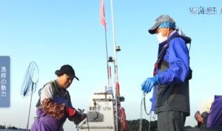 秋田で漁師になろう 日本財団 海と日本PROJECT in 秋田県 2021 #12