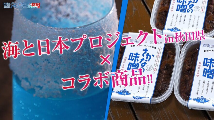 秋田の海を伝える 日本財団 海と日本PROJECT in 秋田県 2021 #28