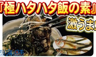 秋田の貴重な魚、地元の特産品とコラボした美味しさをご堪能ください！日本財団 海と日本PROJECT in 秋田県 2023 #02