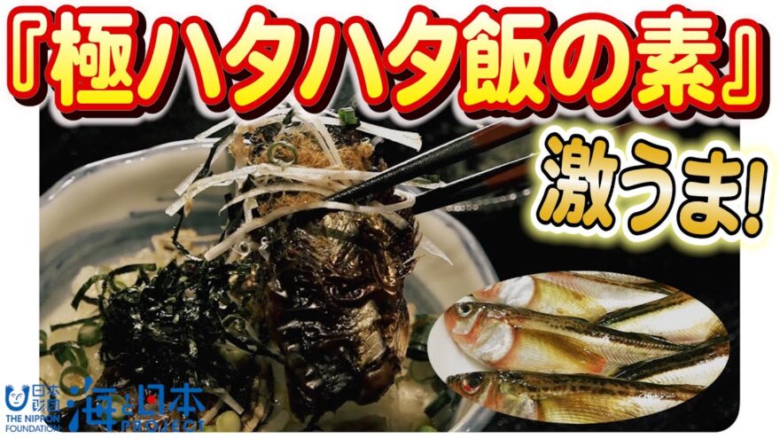 秋田の貴重な魚、地元の特産品とコラボした美味しさをご堪能ください！日本財団 海と日本PROJECT in 秋田県 2023 #02