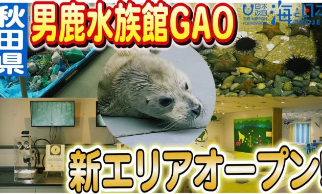 男鹿水族館GAOに新しいエリア「GAOっこひろば」子様が楽しく遊べるコーナー紹介！日本財団 海と日本PROJECT in 秋田 2023 #03