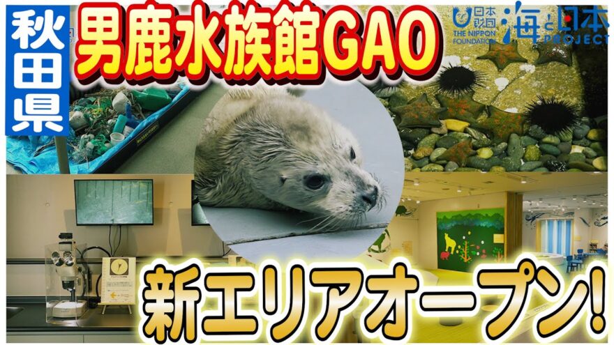 男鹿水族館GAOに新しいエリア「GAOっこひろば」お子様が楽しく遊べるコーナー紹介！日本財団 海と日本PROJECT in 秋田 2023 #03