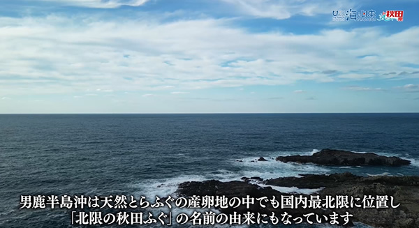 3/10（日）🌊海と日本プロジェクト in 秋田県❗🌅の番組の内容は･･･📺