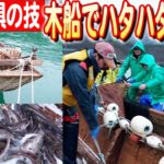 絶滅危惧の技、木船でハタハタを追う！秋田の漁師たちの挑戦 日本財団 海と日本PROJECT in 2023 #21