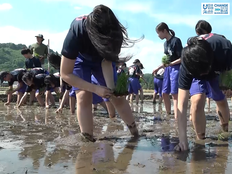 6月2日（日）🌊海と日本プロジェクト in 秋田県❗🌅の番組の内容は･･･