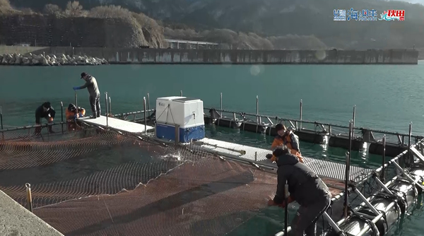 5月12日（日）🌊海と日本プロジェクト in 秋田県❗🌅の番組の内容は･･･