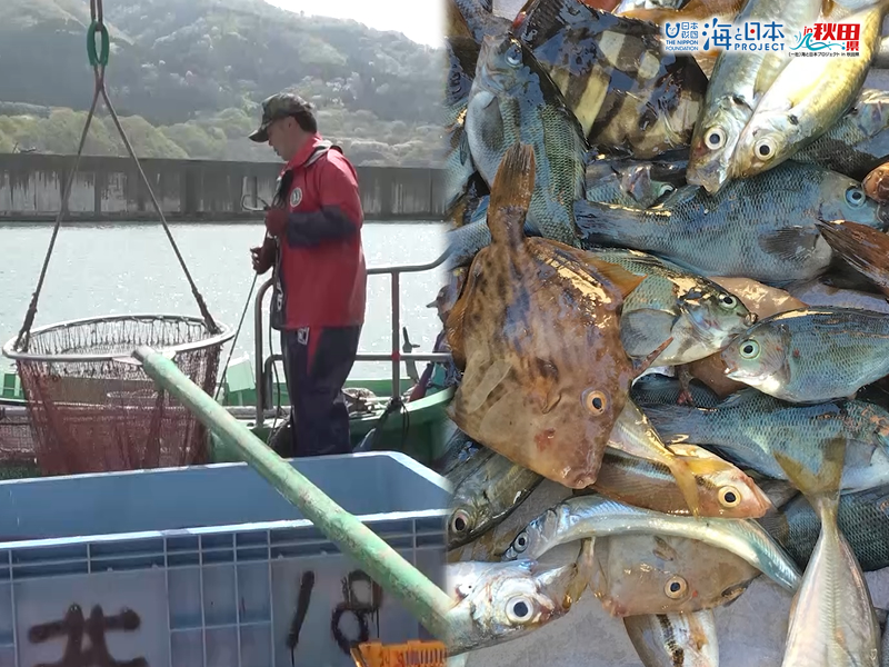 5月12日（日）🌊海と日本プロジェクト in 秋田県❗🌅の番組の内容は･･･