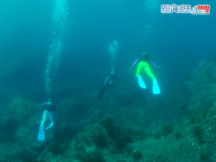 6月23日（日）🌊海と日本プロジェクト in 秋田県❗🌅の番組の内容は･･･