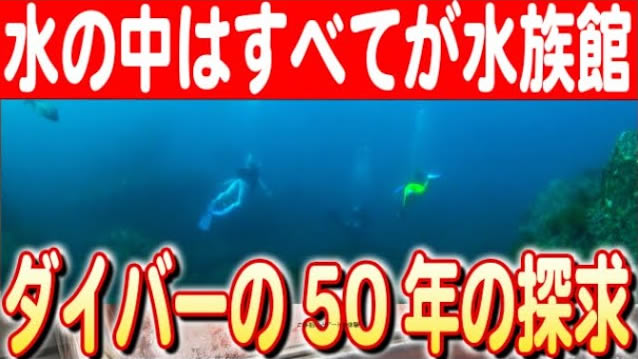 【秋田の海中探検】金坂芳和さんが伝える海の魅力と環境変化 日本財団 海と日本PROJECT in 秋田県 2024 #08