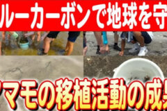 【男鹿南中学校の挑戦】増川の海を守る「守り隊」初イベント〜スナガニの保護とアマモの繁殖活動 日本財団 海と日本PROJECT in 秋田県 2024 #10