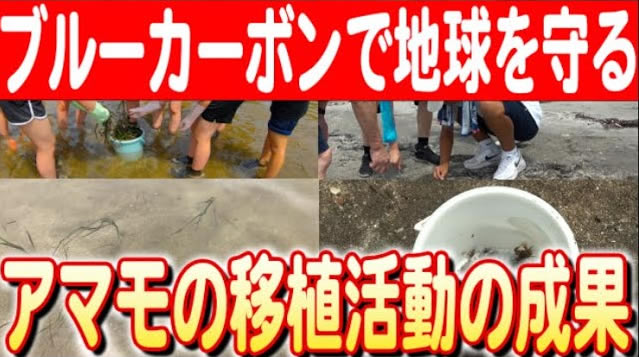 【男鹿南中学校の挑戦】増川の海を守る「守り隊」初イベント〜スナガニの保護とアマモの繁殖活動 日本財団 海と日本PROJECT in 秋田県 2024 #10