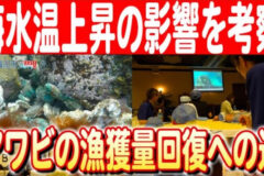 【アワビの未来を考える】鳥海山が育む海産物を探る「秋田アワビ調査隊」後編 日本財団 海と日本PROJECT in 秋田県 2024 #13