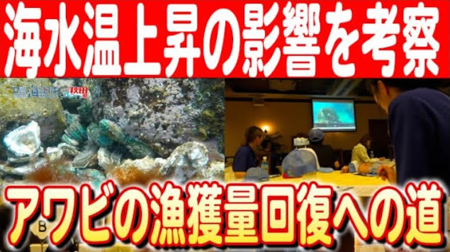 【アワビの未来を考える】鳥海山が育む海産物を探る「秋田アワビ調査隊」後編 日本財団 海と日本PROJECT in 秋田県 2024 #13