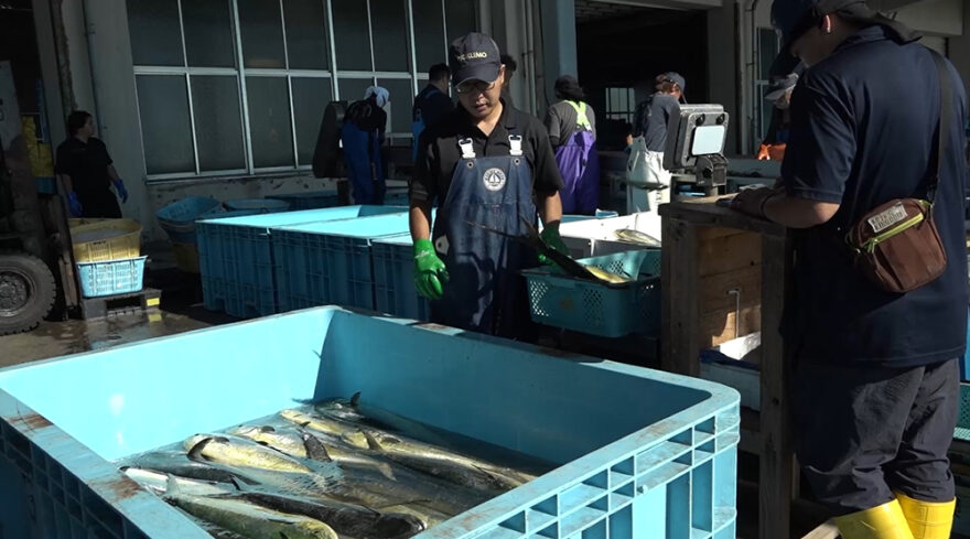 １１月３日（日）🌊海と日本プロジェクト in 秋田県❗🌅の番組の内容は･･･