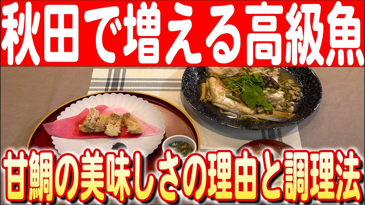 【秋田の新名物に？】フードコーディネーターが甘鯛の美味しい調理法を紹介　日本財団 海と日本PROJECT in 秋田 2024 #18