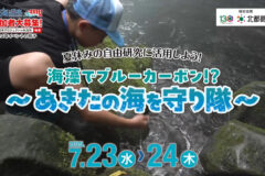 🌊海藻でブルーカーボン！？～あきたの海を守り隊～参加者大募集❗