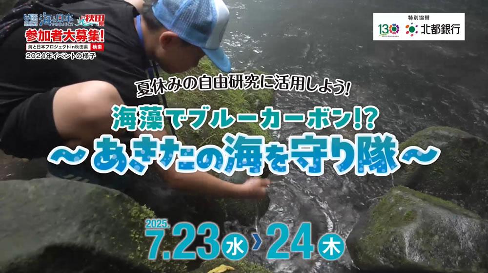 🌊海藻でブルーカーボン！？～あきたの海を守り隊～参加者募集中❗