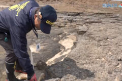 ６月２２日（日）🌊海と日本プロジェクト in 秋田県❗🌅の番組の内容は･･･