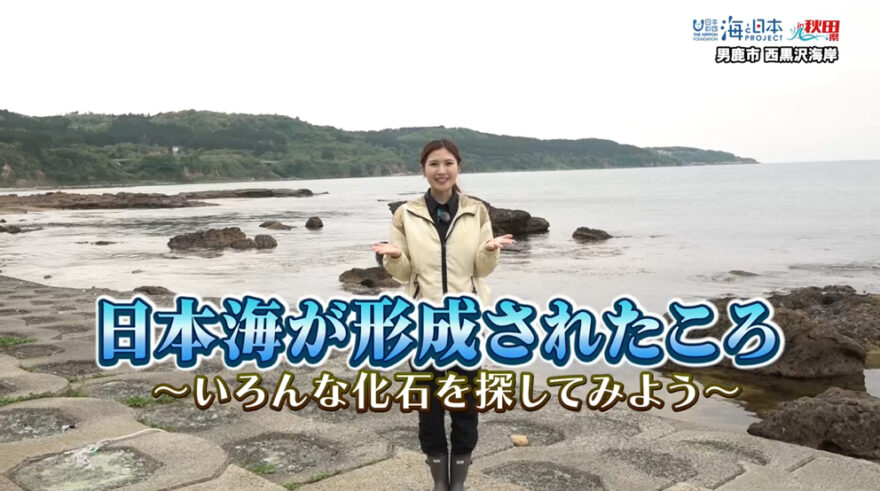 6/22放送📺の「日本海が形成されたころ～いろんな化石を探してみよう～」をYouTubeに更新しました🌊