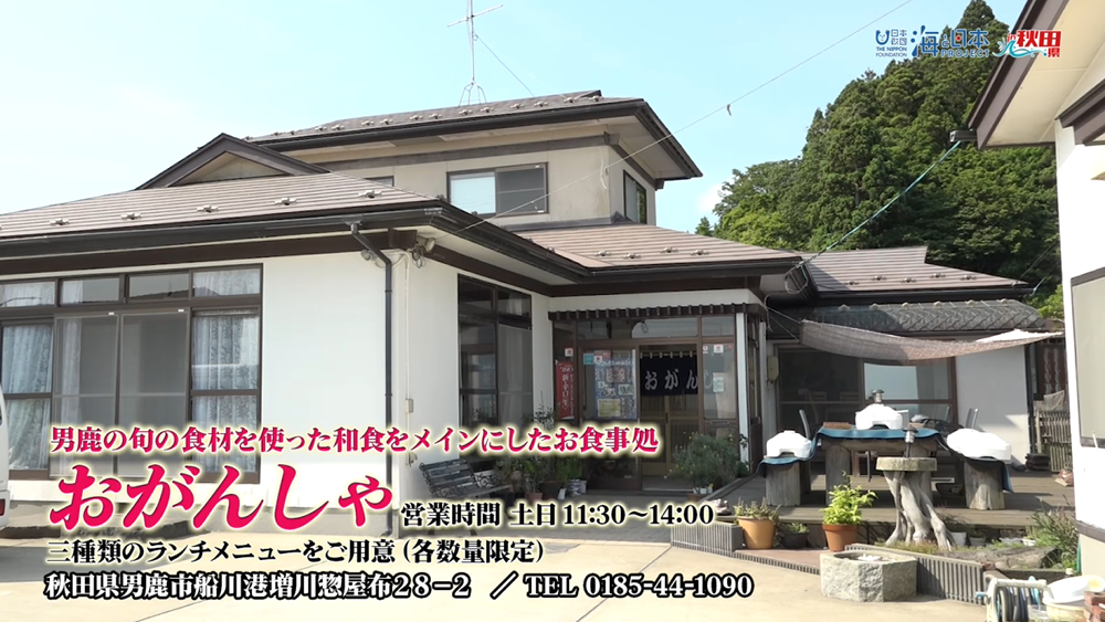 7/6放送📺の「男鹿の旬の食材🐟を使った和食🍣をメインにしたお食事処『おがんしゃ』を紹介」をYouTubeに更新しました🌊