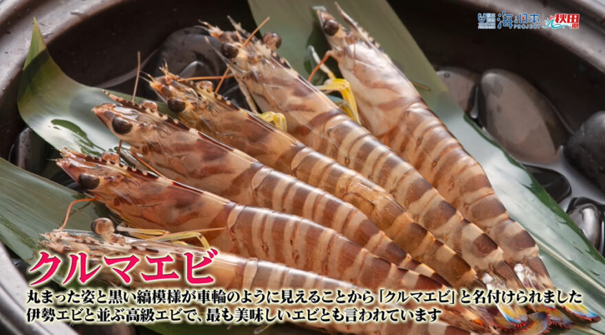 ９月１４日（日）🌊海と日本プロジェクト in 秋田県❗🌅の番組の内容は･･･