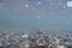 11/30放送📺の「海洋ごみ問題について」をYouTubeに更新しました⚓