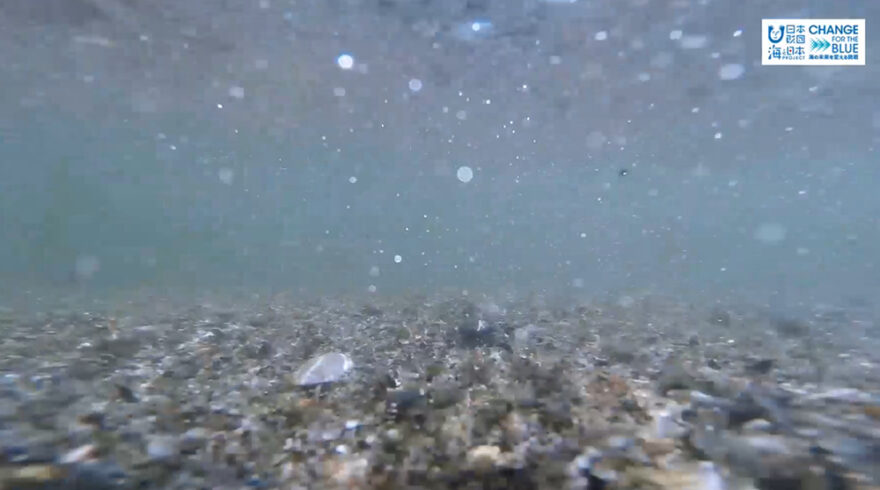 11/30放送📺の「海洋ごみ問題について」をYouTubeに更新しました⚓