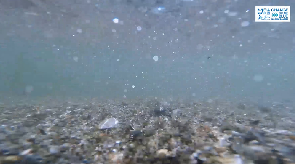 11/30放送📺の「海洋ごみ問題について」の様子をYouTubeに更新しました⚓