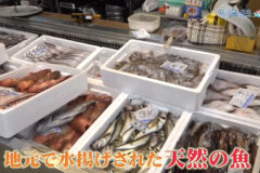 １１月９日（日）🌊海と日本プロジェクト in 秋田県❗🌅の番組の内容は･･･