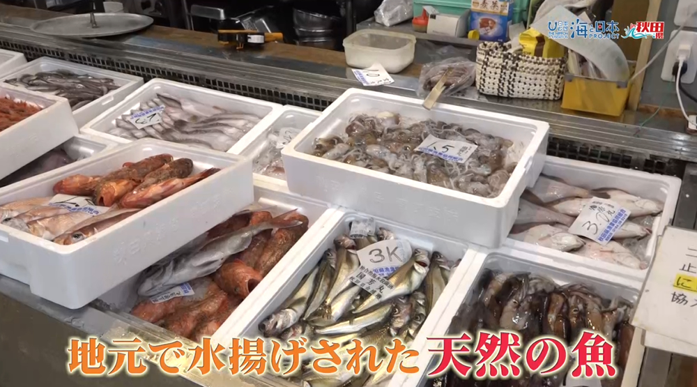 １１月９日（日）🌊海と日本プロジェクト in 秋田県❗🌅の番組の内容は･･･