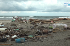 １２月１４日（日）🌊海と日本プロジェクト in 秋田県❗🌅の番組の内容は･･･