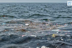 １１月３０日（日）🌊海と日本プロジェクト in 秋田県❗🌅の番組の内容は･･･