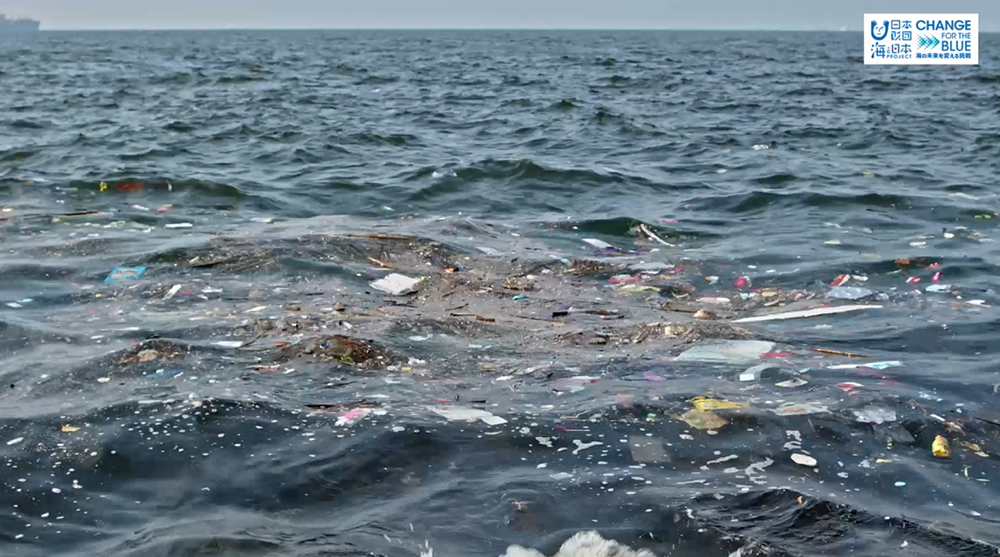 １１月３０日（日）🌊海と日本プロジェクト in 秋田県❗🌅の番組の内容は･･･