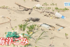 １２月７日（日）🌊海と日本プロジェクト in 秋田県❗🌅の番組の内容は･･･